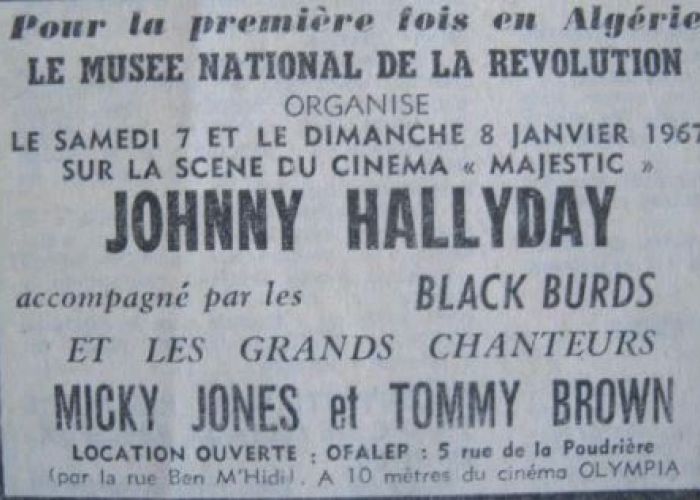  Johnny Halliday: une idole algérienne ? 