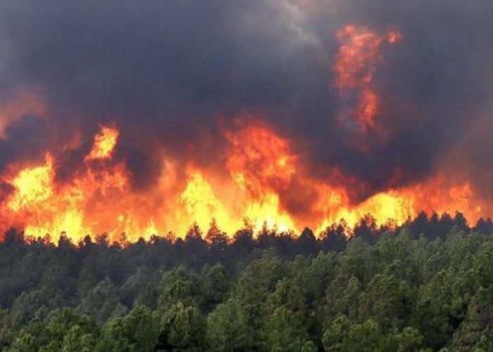  Pour éteindre les incendies dans différentes régions, l'armée sur le terrain !