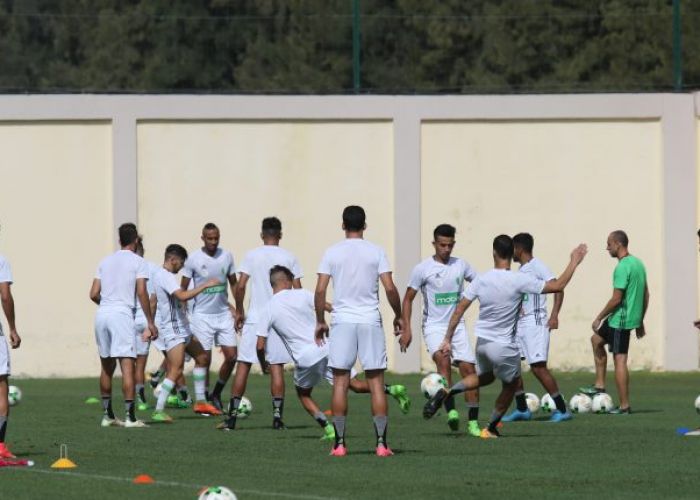  La FAF supplée Belmadi par Batelli à la tête de l’EN A’ : changement stratégique ou fait du prince ?