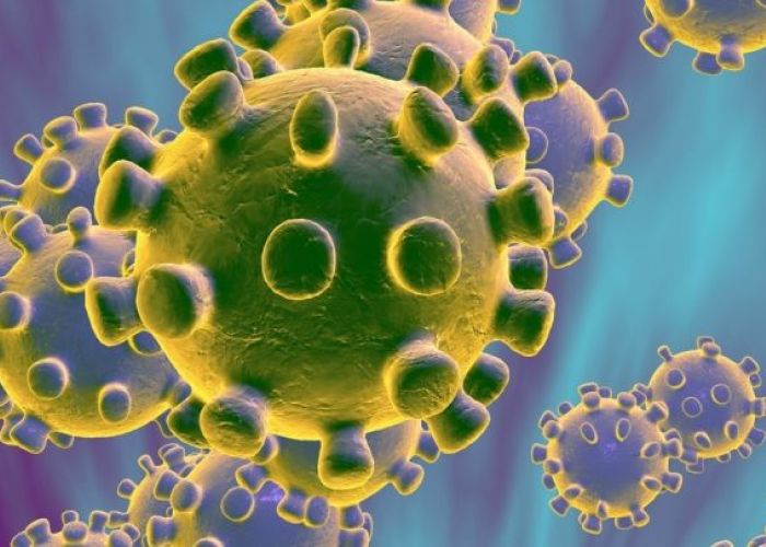 Coronavirus : Le ministère de la santé annonce la réactivation du dispositif de surveillance et de contrôle des épidémies