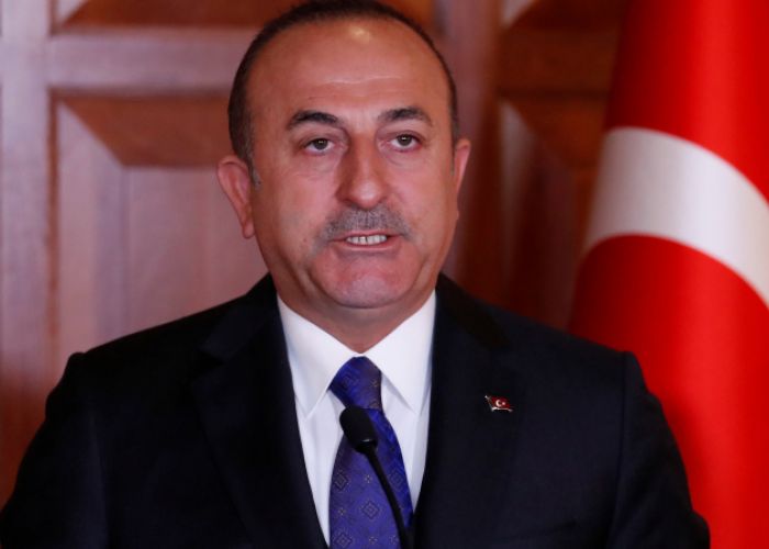  Le chef de la diplomatie turc, Mevlut Cavusoglu, reçu en audience par Abdelmadjid Tebboune