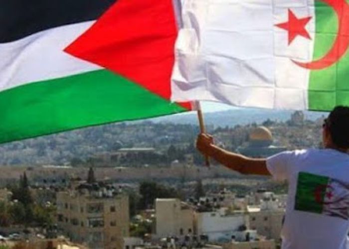 Réunion d'urgence sur la Palestine en Arabie Saoudite : Rachid Bladehane, aujourd’hui, à Djeddah 