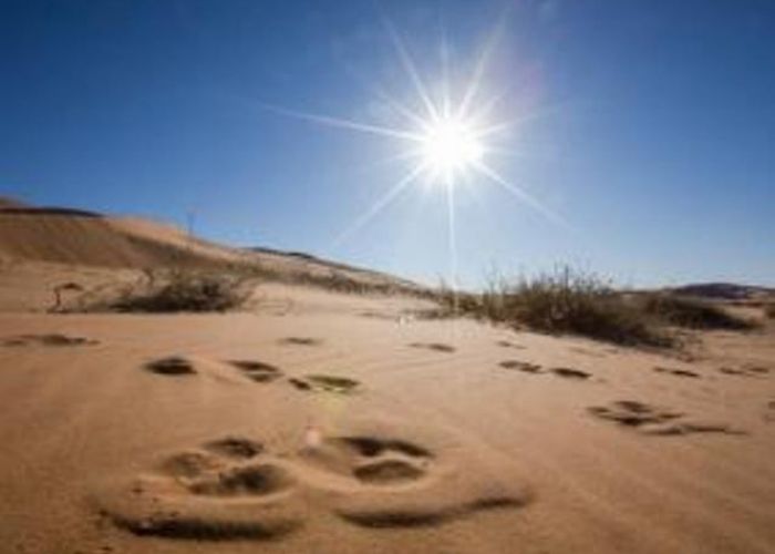 Canicule : des températures dépassant les 48 sur Adrar, Tamanrasset et Ouargla