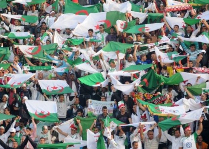 28 avions pour transporter 4800 supporters au Caire pour Algérie-Sénégal : Afflux record au stade du 5 juillet