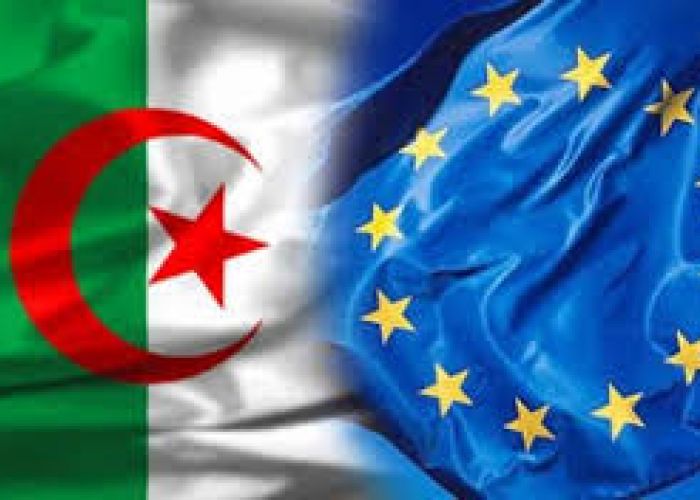 Charge offensive, peu commune, de la diplomatie algérienne contre la résolution des eurodéputés sur l’Algérie : CQFD !