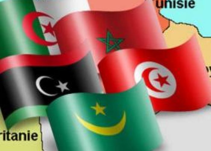  Le Conseil consultatif de l'UMA qualifie de «sinistre immixtion» la résolution du Parlement européen en sur la situation en Algérie