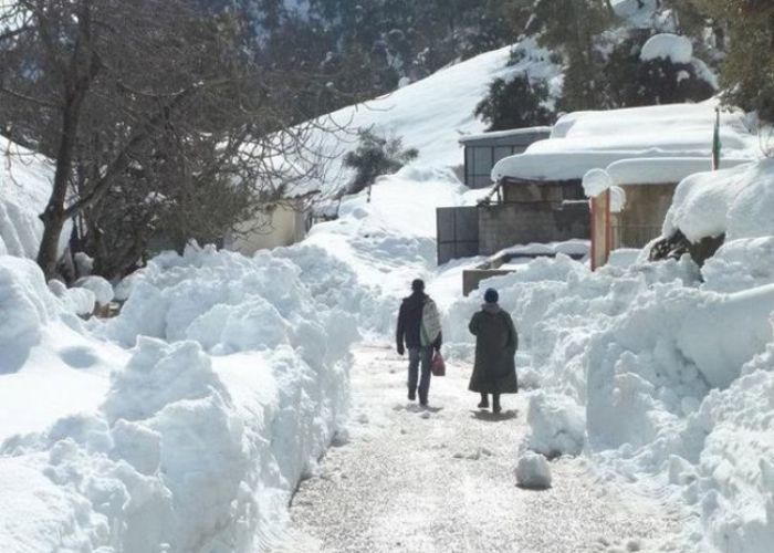 Alerte météo : Chutes de neige sur les hauteurs dépassant les 1000 m d'altitude au Nord du pays