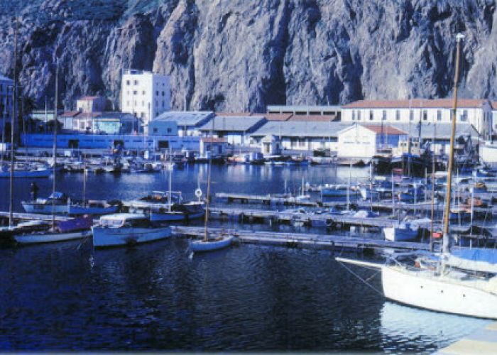 Lutte contre la Harga à Oran : Les bateaux de plaisance interdits de sortie en mer pendant deux semaines