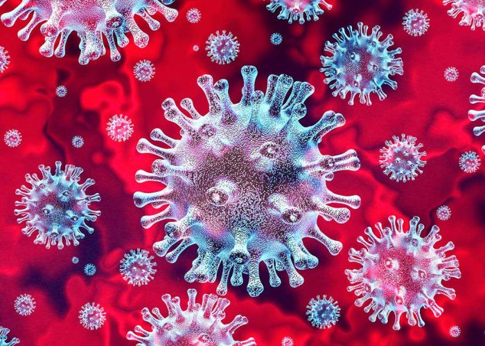 Coronavirus: 498 nouveaux cas positifs et 10 morts supplémentaires