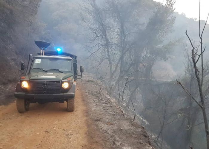 Tizi Ouzou : Pas moins d'une quarantaine de départs de feux de forêts d'origine criminelle