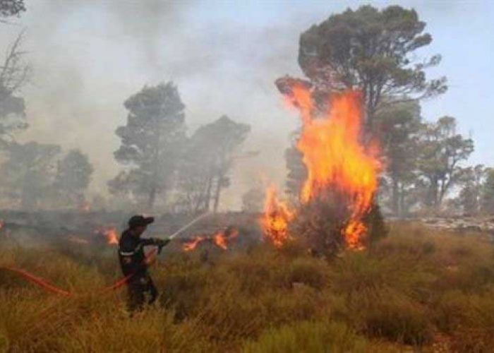 Préjudices causés par les incendies : indemnisations en nature et non financières pour les victimes