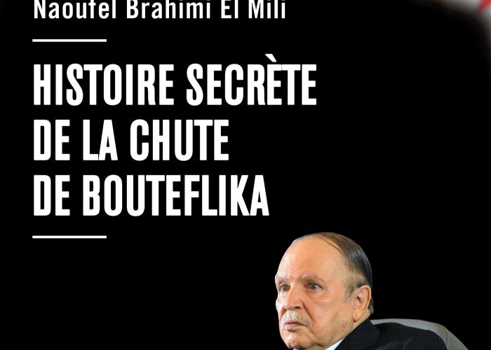  Naoufel Brahimi El Mili : "Les Ali Haddad et consorts se sont tissés d’importants appuis à l’étranger au point où ils se croyaient intouchables"