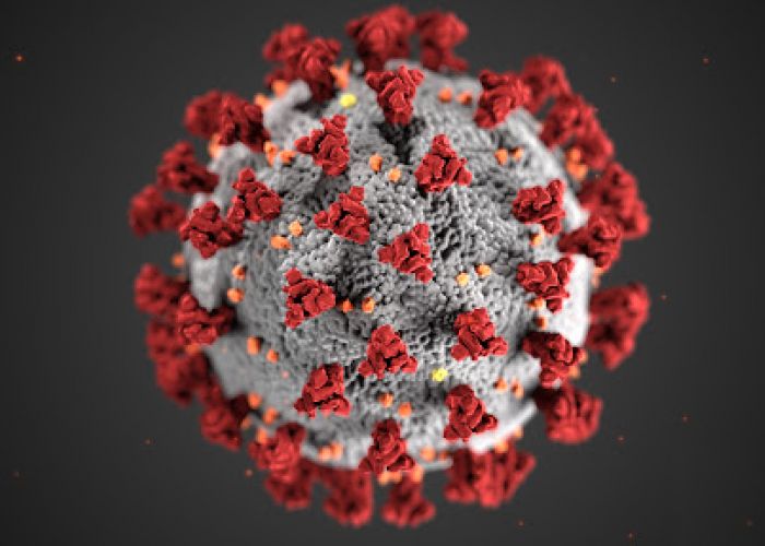  Bilan de la pandémie de nouveau coronavirus: près de 264.000 morts dans le monde