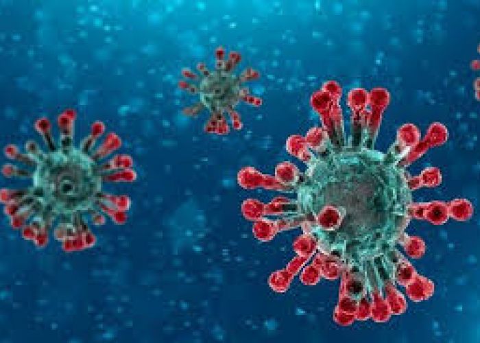 Coronavirus en Algérie : 87 nouveaux cas et 13 décès au mardi 14 avril