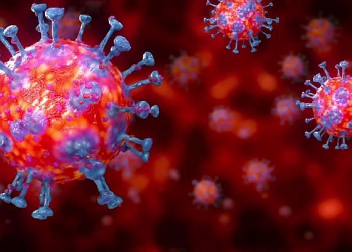 Coronavirus: 89 nouveaux cas positifs et 09 décès supplémentaires