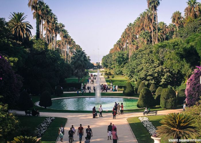 Alger : Le jardin d'essai du Hamma réouvert mercredi au public