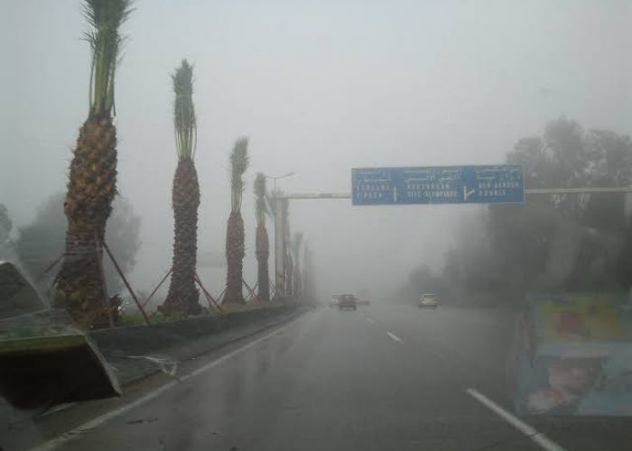 Alerte Météo : Jusqu'à 40 mm de pluie sur plusieurs régions de l'Est et du Centre du pays