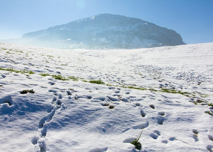  Météo : des chutes de neige sur 09 wilayas de l’Est du pays