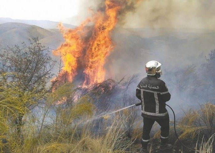 Feux de forêts : 70 mis en cause arrêtés, 44 hectares détruits et 600 millions de DA pour l'indemnisation 