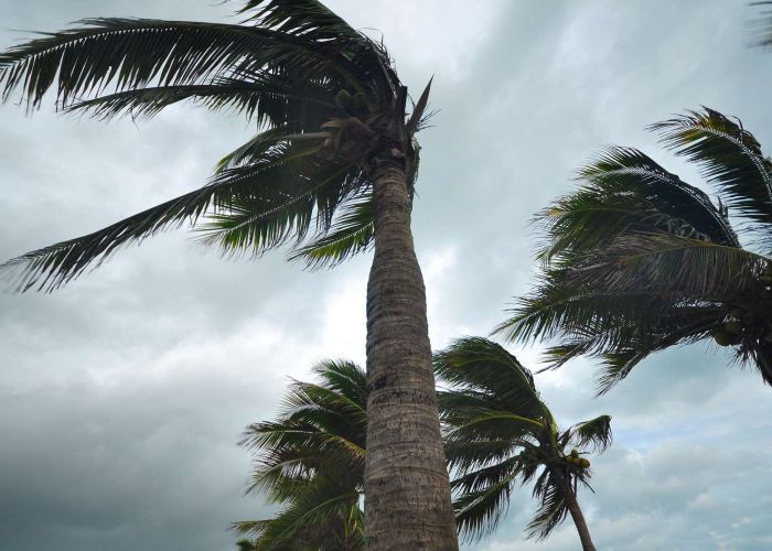  Météo: des vents forts souffleront mercredi et jeudi sur plusieurs wilayas du sud du pays 