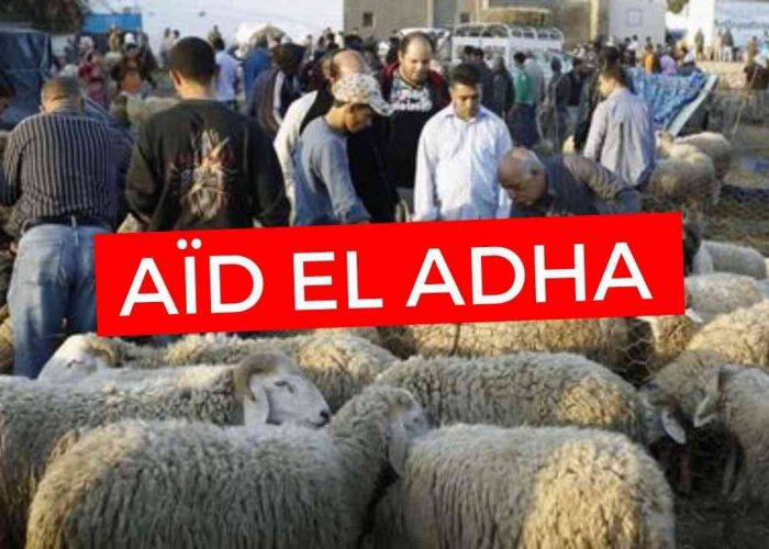  L’Aid El Adha annulé ? La commission des Fatwas va trancher bientôt