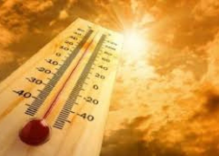 Alerte météo : Jusqu'à 44°C à Relizane, Sud de Chlef et Ain Defla