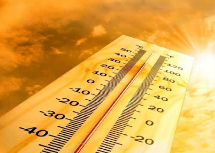 Alerte météo : Jusqu'à 44°C à Relizane, Chlef et Ain Defla