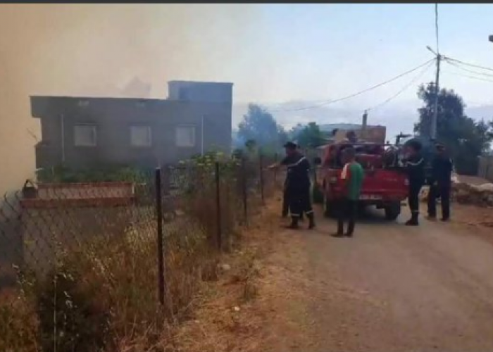 Les feux de forêts menacent des villages à Tizi Ouzou (Vidéo) 