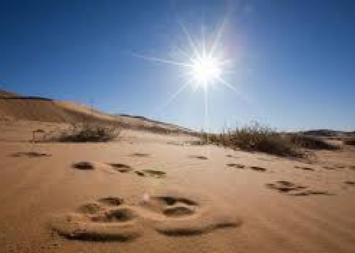  Météo : El-Oued et Ouargla sous la canicule jusqu'à jeudi soir