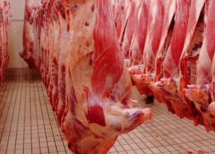 Ramadhan : l’Algérie va importer 2500 tonnes de viandes rouges d’Espagne