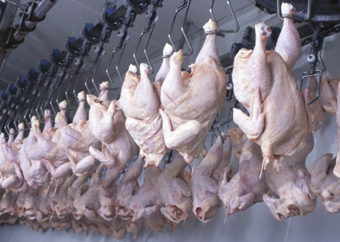  Prix du poulet : l’ONILV table sur une baisse, à 320 DA/Kg, dans «une dizaine de jours»