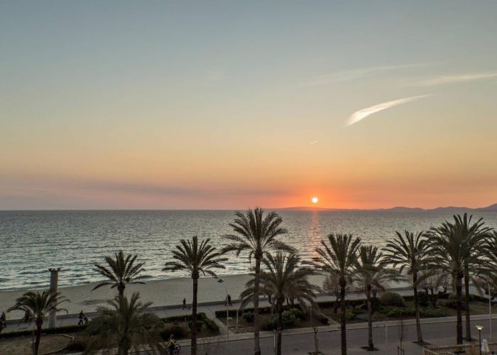 Le tremblement de terre de Béjaia a provoqué un mini-tsunami en Espagne 