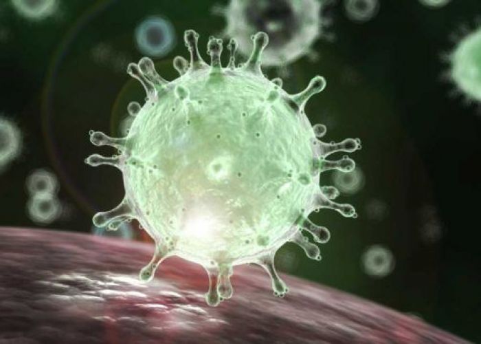 L'Algérie enregistre son premier cas de coronavirus : Un ressortissant italien 