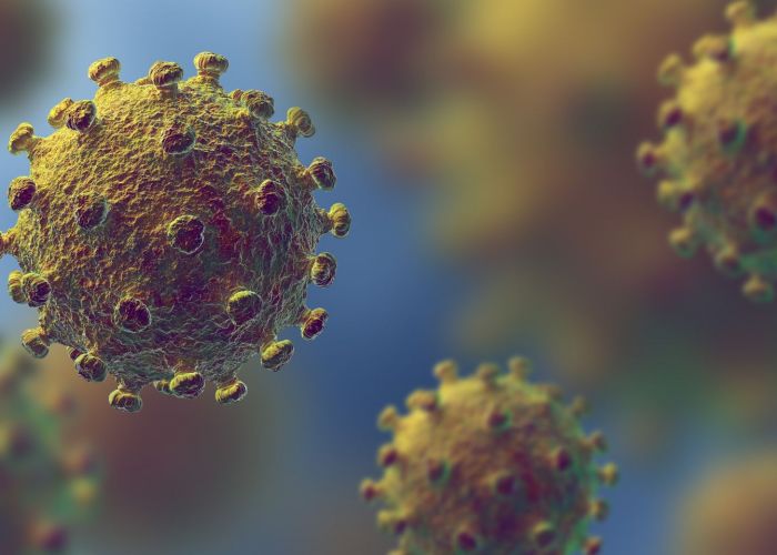 L'OMS déclare officiellement l'épidémie de coronavirus comme une "pandémie"