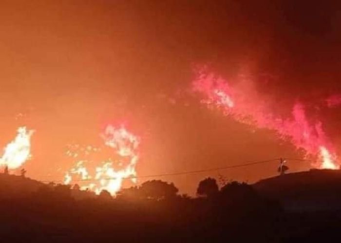 Plusieurs départs de feux dans une dizaine de wilayas : 12 villages encerclés par les flammes à Tipaza (Vidéo)