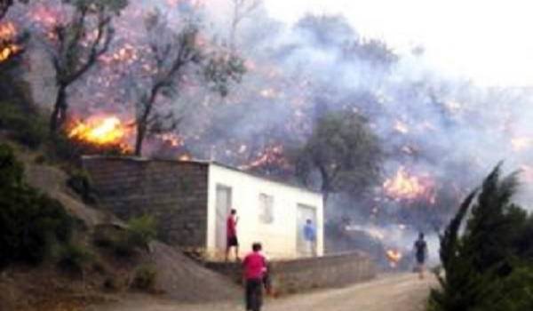 27 foyers d’incendies dans les massifs boisés de Béjaïa : 30 ha de végétation partis en fumée, en 24 heures