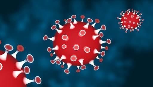 La baisse des cas Covid-19 se poursuit, des cas du sous-variant BA.2 détectés : 1464 contaminations, 965 guérisons et 11 décès ces dernières 24h