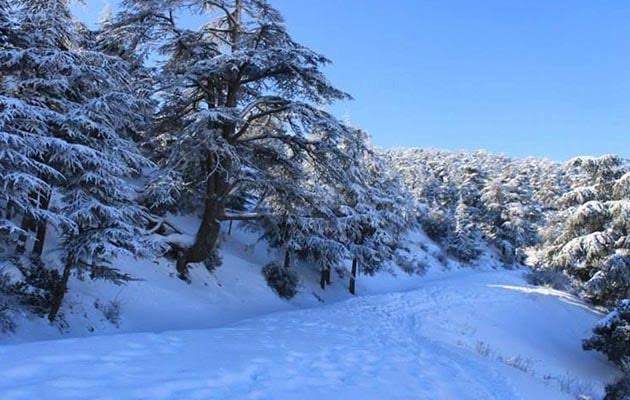 Des chutes de neige sur l'Ouest du pays jeudi