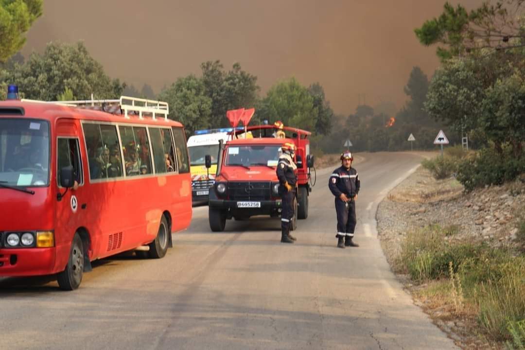 Incendies de forêts d’Ain Mimoun (Khenchela) : Trois individus interpellés