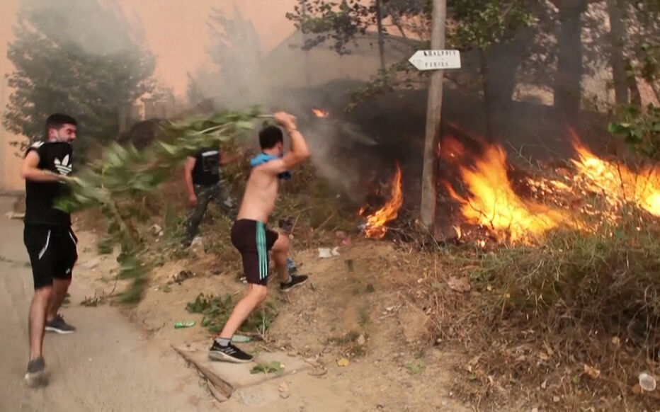 Incendies: le remboursement des victimes à partir de jeudi pour les cheptels