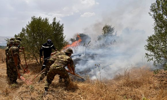 Chanegriha en visite aux unités engagées dans les opérations d'extinction des incendies à Tizi-Ouzou et Béjaïa