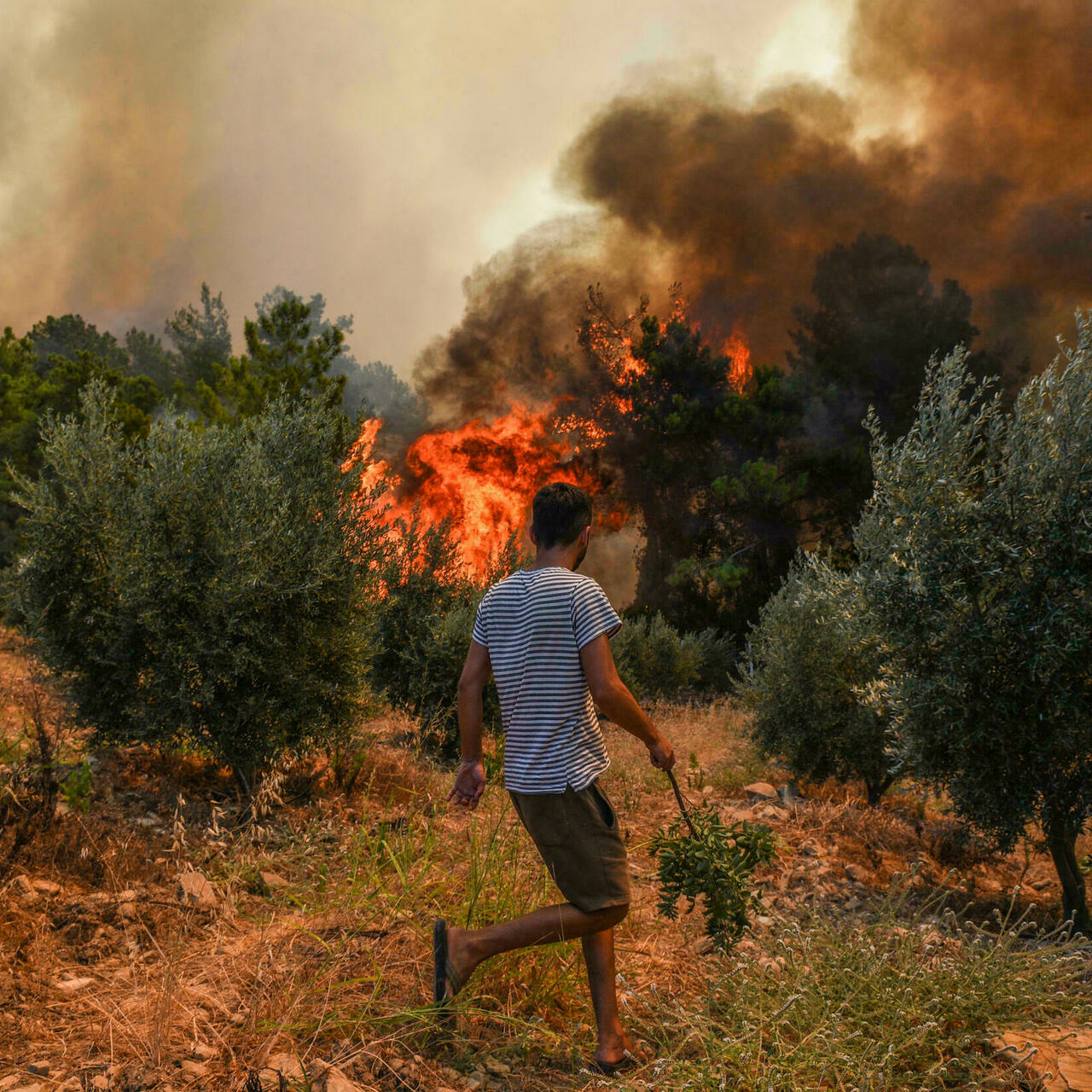 Incendies : 47 personnes placées en détention préventive