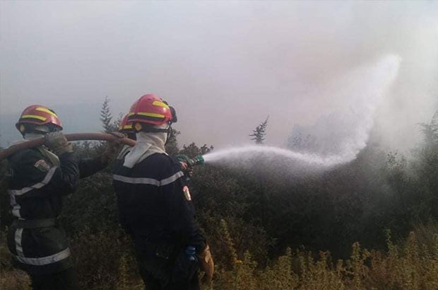 Incendies : Le RCD dénonce l’insuffisance des véhicules des pompiers, la quasi inexistence de moyens aériens et l'absence de réactivité et d'anticipation