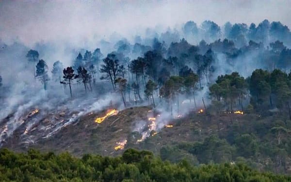 Kamel Beldjoud : "Les incendies de Khenchela sont volontaires, provoqués par des groupes criminels"