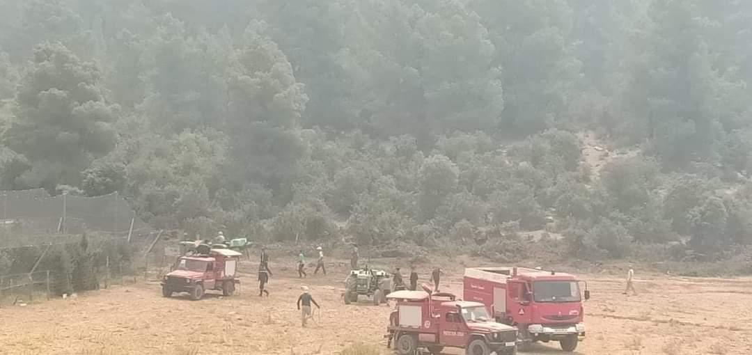 Des vents forts soufflent sur la région : Nouveaux départs de feux de forêts à Khenchela (Vidéo)