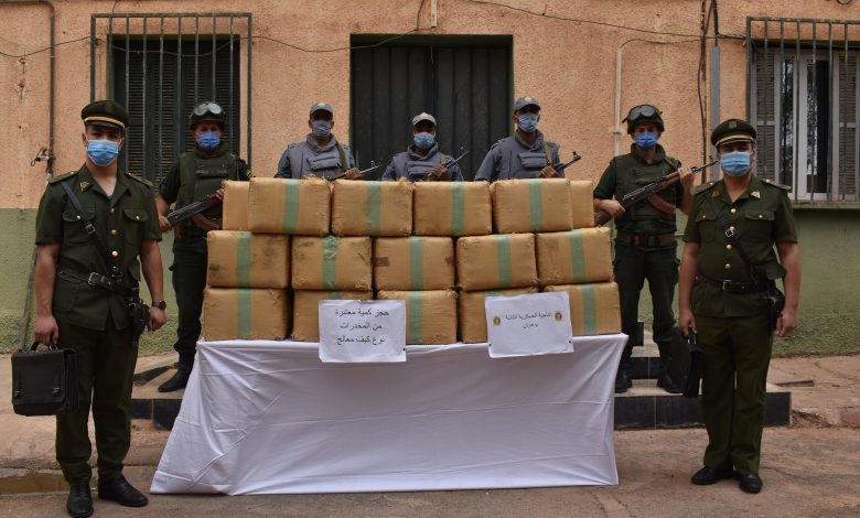 Lutte contre la drogue : saisie de 12 quintaux de kif traité, en provenance du Maroc