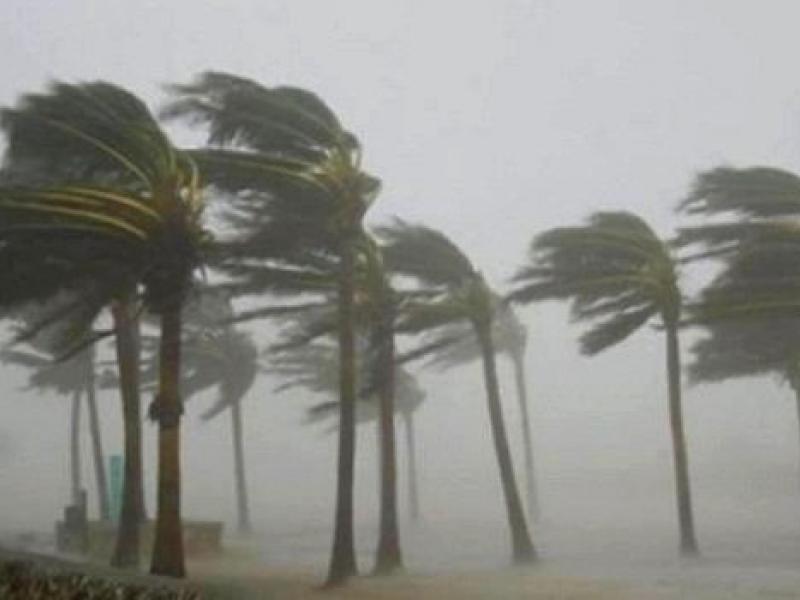 Alerte météo : Des vents allant jusqu'à 90km/h sur plusieurs wilayas du pays lundi et mardi