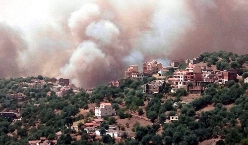 Le président Tebboune annonce que 25 militaires sont décédés dans les incendies en sauvant des citoyens des flammes