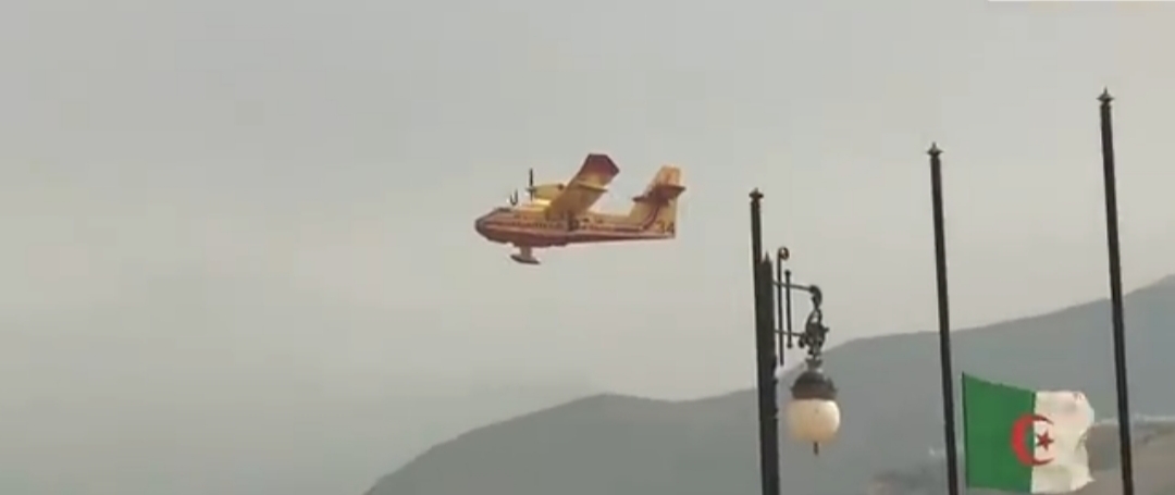 Feux de forêts : Les canadairs débutent leur intervention depuis l'aéroport de Béjaïa (Vidéo)