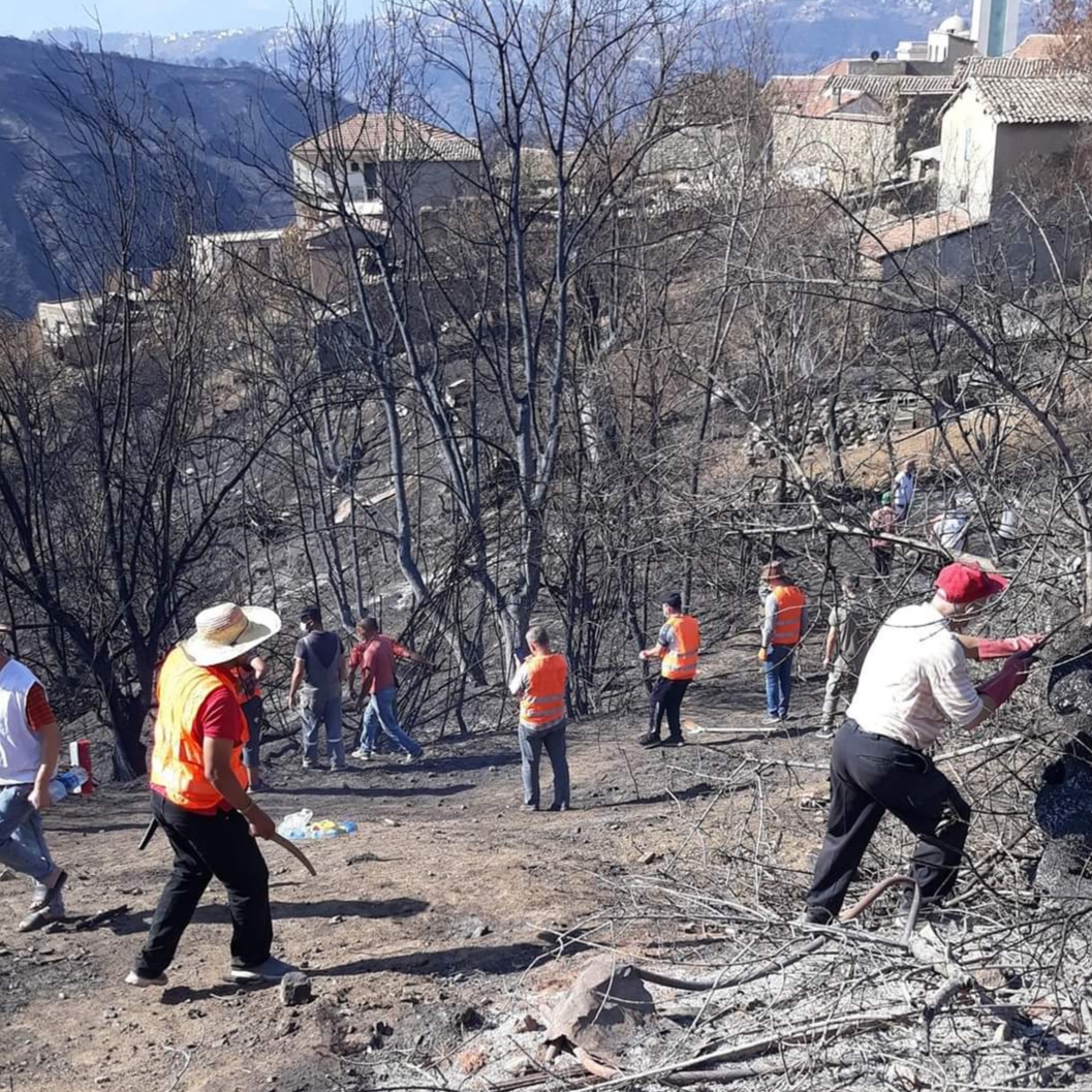 Une vingtaine de citoyens ont laissé leur vie lors des incendies : Le village Ikhelidjen (Larbaa Nath Irathen) reprend vie